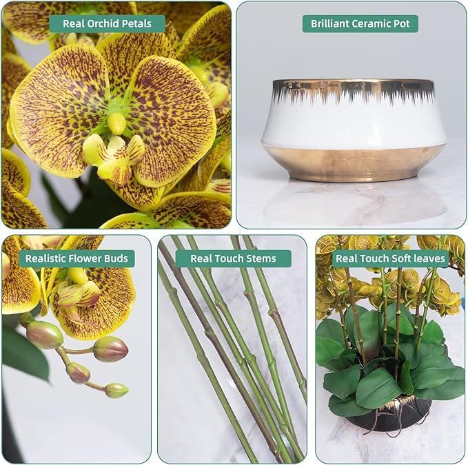 CXGS Orchids Artificial Flower Real Touch Faux Orchid in Large Ceramic Vase 23.6'' Realistic YellowSpots Fake Phalaenopsis Floral Arrangements Centerpiece Table Home Indoor Decor