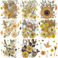 Nuanchu 167 Pcs Real Dried Pressed Flowers Natural Dried Flowers Colorful Daisy Mixed Wildflowers Leave for DIY Candle Resin Nails Jewelry Pendant Crafts Floral Art(Beige,Retro Style)