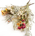 L'BREVOGA Dried Flower Spray Rose Bouquets, 2 Bunches 100% Natural Flowers, Miniature Roses with Baby’s Breath for Decoration Home Party (Spray Rose)