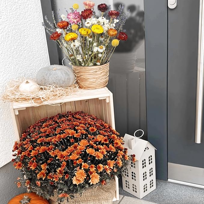 Dried Daisy Flowers Bouquet Natural Lavender Bundles Dried Gerber Daisies Craspedia Flowers Dried Daisies Multicolor Floral Arrangements for Wedding Party Table Centerpiece Decor Farmhouse DIY