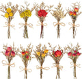 10 Pack Dried Flower Bouquets Natural Rose Billy Balls and Rice-Flower Combination Dried Embossing Flower Bundles with Stem Dried Floral Arrangement for Vase, DIY, Crafts, Wedding Party, Home Decor
