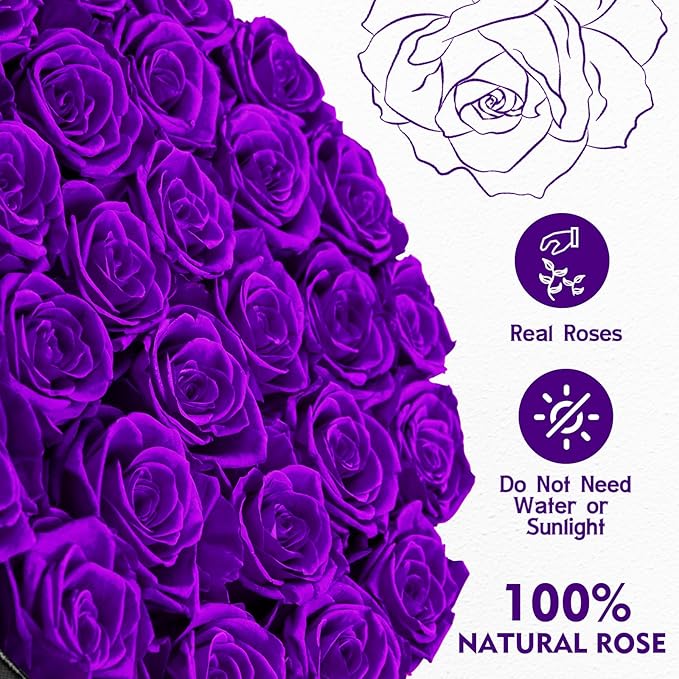 Forever Flowers, 27 Roses in A Box, Real Preserved Roses, Birthday Gift for Women, Mother's Day, Anniversary, Purple Rose