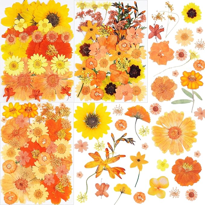 111Pcs Orange Dried Pressed Flowers for Crafts,Xinxinran Fall Dry Flowers Kit for Resin Molds,Epoxy Resin Accessories,Bookmark,Jewelry Molds,Candle Making Supplies,Soap,Frame