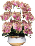 CXGS Orchids Artificial Flower Real Touch Faux Orchid in Large Ceramic Vase 23.6'' Realistic PurpleSpots Fake Phalaenopsis Floral Arrangements Centerpiece Table Home Indoor Decor