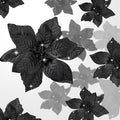 WILLBOND 24 Pcs 3 Size Poinsettia Flower Artificial Christmas Decor Glitter Poinsettia Christmas Ornaments Faux Flowers for Xmas Tree Outdoor(3.2/4/6 Inches,Black)