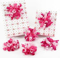 HUIHUANG Pink Bows for Gift Wrapping Self Adhesive Curly Gift Bows Fushcia/Pink/Hot Pink Bows for Presents, Birthday, Wedding Baby Shower Party Favors, Treat Bags- 6 Counts