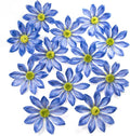 Daisy Silk Flower Heads, 12 Pcs Artificial Daisy Flower Heads, 3.5 Inch Blue Floral Heads Fake Daisies for Decoration, DIY Craft, Vase, Flower Arrangement, Hats, Costume, Hair