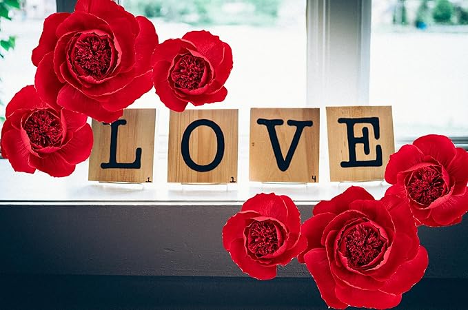 6 pcs 3D Paper Flower Decoration for Party, Wedding Decoration, Background Wall, Nursery Room Decoration, Bridal Shower, Baby Shower (Red,Set/6)