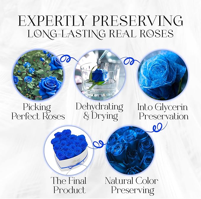 GLAMOUR BOUTIQUE Preserved Roses in a Box - Gifts for Her, Wife & Mom, Rose Flowers Forever Decor for Birthday Gift, Get Well Flower Bouquet Cased in White Box with Cover - Blue - 16-Piece