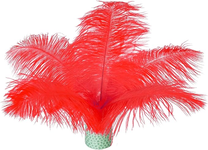 Piokio 20 pcs Natural Red Ostrich Feathers 6-8 inch(15-20 cm) Bulk for DIY Clothes, Feather Pens, Dream Catcher, Gatsby Decorations