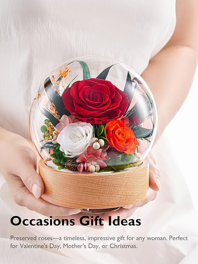 Eterfield Flowers for Delivery Prime, Christmas Preserved Roses Gifts for Women - Forever Flower in Glass Dome Birthday Gifts for Mom Wife Grandma Her Valentine’s Day (Red, Sphere)