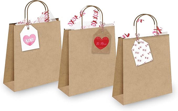Pro Supply Global 24 Count of 2.5 Inch x 3 Inch Pre Strung XOXO Valentine's Day Gift Tag Assorted Printed Designs on Large Cardstock Gift Hang Tags - Ideal to Use on Bags