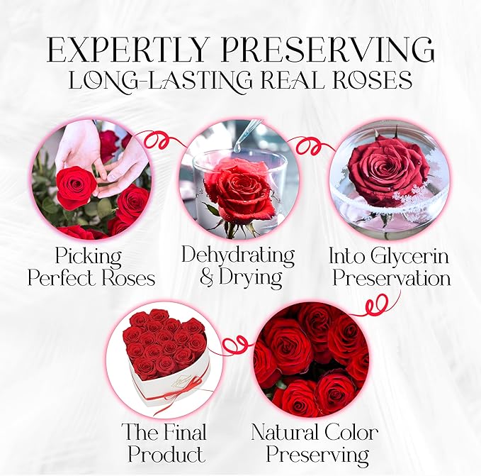 GLAMOUR BOUTIQUE Preserved Roses in a Box - Gifts for Her, Wife & Mom, Rose Flowers Forever Decor for Birthday Gift, Get Well Flower Bouquet Cased in White Box with Cover - Red - 16-Piece