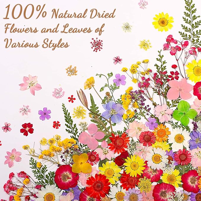 160 Pcs Dried Flowers Pressed Real Flowers for Resin, Dried Florals Natural Herbs Kit for Scrapbooking DIY Art Crafts, Jewelry Molds, Candle, Soap Making, Mother’s Day Birthday Gift