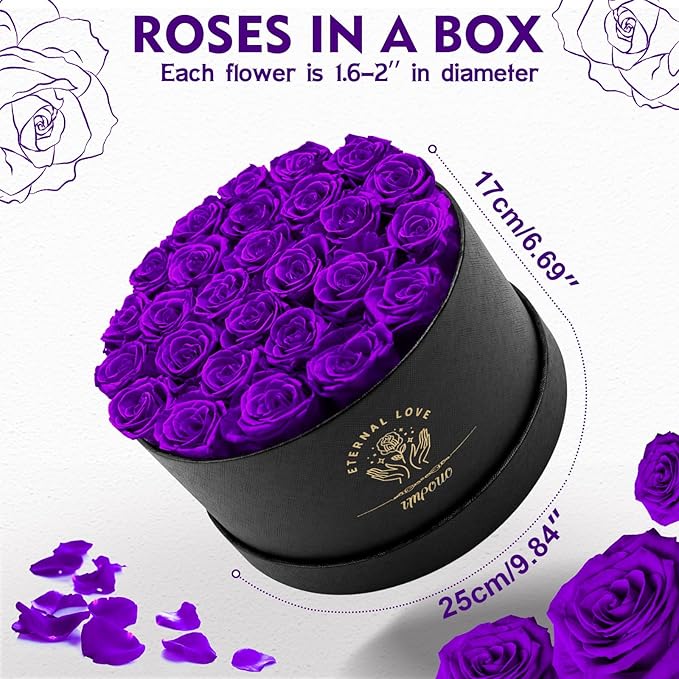 Forever Flowers, 27 Roses in A Box, Real Preserved Roses, Birthday Gift for Women, Mother's Day, Anniversary, Purple Rose