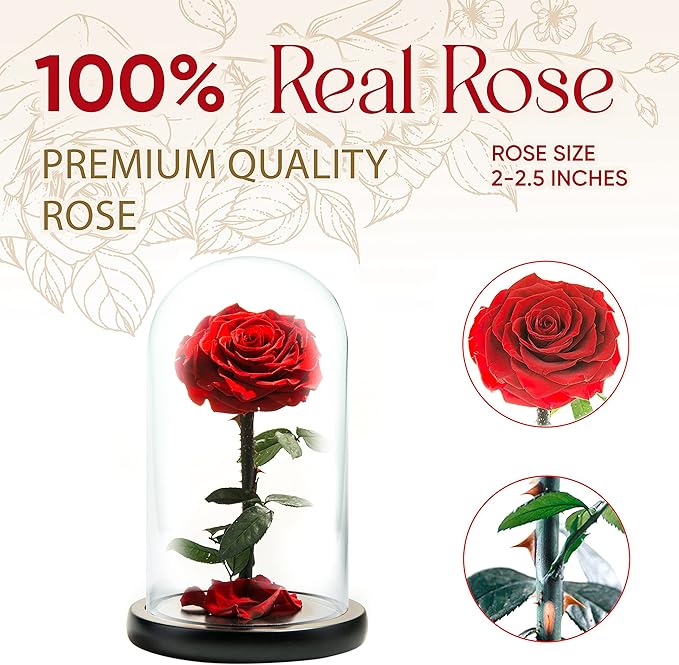 Forever Preserved Rose - Eternal Rose in Glass Dome - Beauty and The Beast Rose for Mom - Fresh Flowers in Glass (Red, 9 Inch)