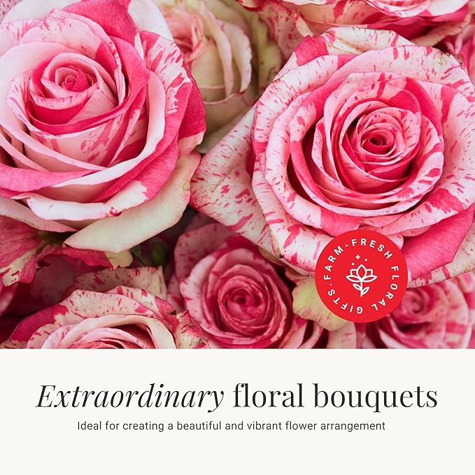 BloomsyBox - Bicolor Roses - 24 Long Stems, Long Lasting, Hand-Tied in Eco-friendly, Vase Not Included, Fresh Flowers for Delivery – Gift for Birthday, Anniversary, Get Well, Congratulations, Wedding