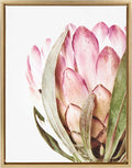 Kate and Laurel Sylvie Pink Protea Flower Framed Canvas Wall Art by Amy Peterson, 18x24 Gold