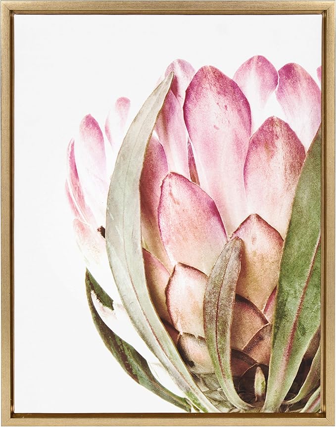 Kate and Laurel Sylvie Pink Protea Flower Framed Canvas Wall Art by Amy Peterson, 18x24 Gold