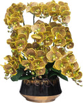 CXGS Orchids Artificial Flower Real Touch Faux Orchid in Large Ceramic Vase 23.6'' Realistic YellowSpots Fake Phalaenopsis Floral Arrangements Centerpiece Table Home Indoor Decor