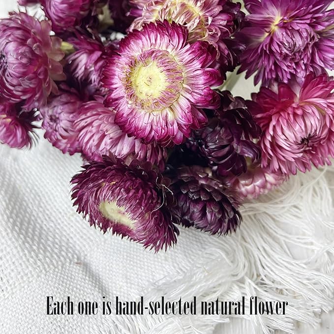 100% Natural Daisy Flowers, Dried Flower Bouquets-30Pcs Pink Daisies Chrysanthemums, 17 Inch Arrangements for Vase, Home Decoration Photo Props Parties and Weddings-Daisy Purple