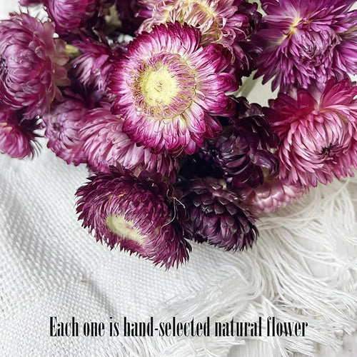100% Natural Daisy Flowers, Dried Flower Bouquets-30Pcs Pink Daisies Chrysanthemums, 17 Inch Arrangements for Vase, Home Decoration Photo Props Parties and Weddings-Daisy Purple