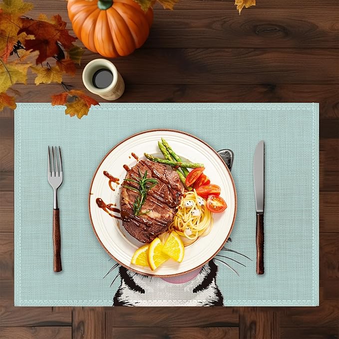 Funny Cat Placemats Set of 6,Washable Heat Resistant 12×18 Inch Linen Table Mats,Place Mats for Party Outdoor Dining Décor
