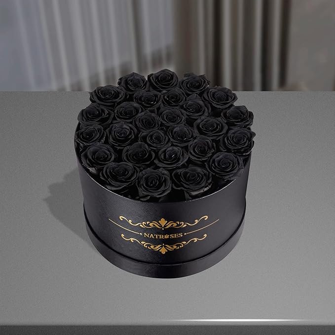 NATROSES 27 Piece Forever Preserved Roses in a Box, Preserved Flowers for Delivery Birthday, Flowers Gifts for Mothers Day, Black