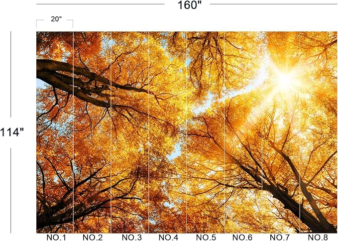 Cliouar-Warm Autumn Sun Shines Through The Golden Crowns of Tall Beech Trees Peel and Stick 160" x 114"