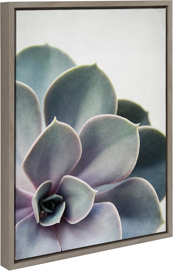 Kate and Laurel Sylvie Succulent 5 Framed Canvas by F2 Images, 18x24 Gray