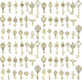 WOCRAFT 60pcs KC Gold Small Key Charms Bracelet Charms for Jewelry Making Sets DIY Necklace Bracelet Keychain Crafting Charms Kit Craft Supplies (SN925)