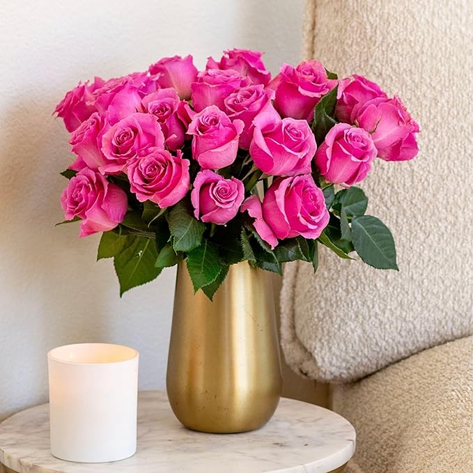 BloomsyBox- Light Pink Roses -24 Long Stems, Long Lasting, Hand-Tied in Eco-friendly, Vase Not Included, Fresh Flowers for Delivery – Gift for Birthday, Anniversary,Congratulations, Wedding
