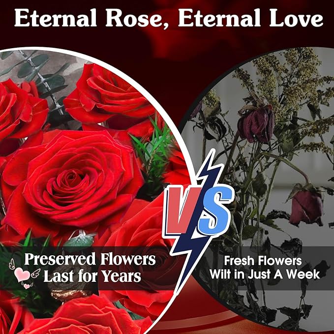 ADDWel 24 Preserved Real Red Rose Bouquet Long-Lasting Flowers for Her and Romantic Gifts for Wife Girlfriend, Two Dozens Forever Fresh Roses for Delivery Prime