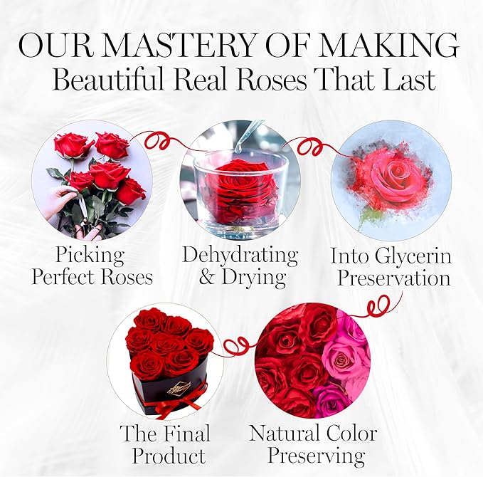 GLAMOUR BOUTIQUE 7 Flower Forever Heart Shape Box - Preserved Roses Gift for Her, Preserved Flowers, Red