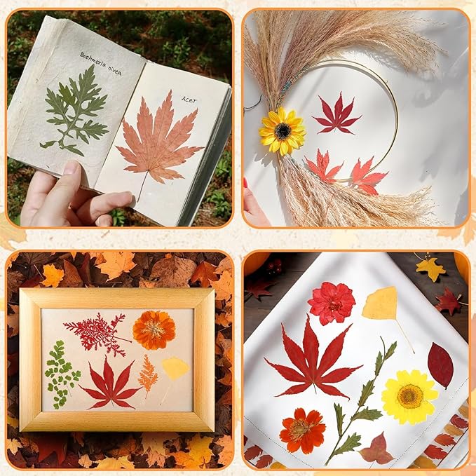 Augshy Fall Dried Pressed Flowers Orange Pressed Fall Leaves for Crafts Resin Molds Real Red Brown Yellow Pressed Leaves for Scrapbooking, Epoxy Resin Supplies