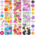 190Pcs Dried Pressed Flowers for Crafts,Xinxinran Dry Flower Kit for Resin Molds,Epoxy Resin Accessories,Bookmark,Nails, Jewelry Molds,Candle Making Supplies,Soap,Frame(Bright Color)