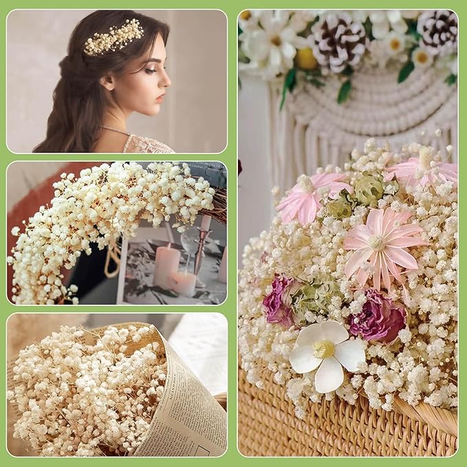 6000+ Dried Babys Breath Flowers Bulk - 17" Ivory White Dried Flower Bouquet, Real Natural Gypsophila Branches for Vase Filler, Wedding, Table Centerpiece, Home Decor, DIY Wreath Floral, Crafts
