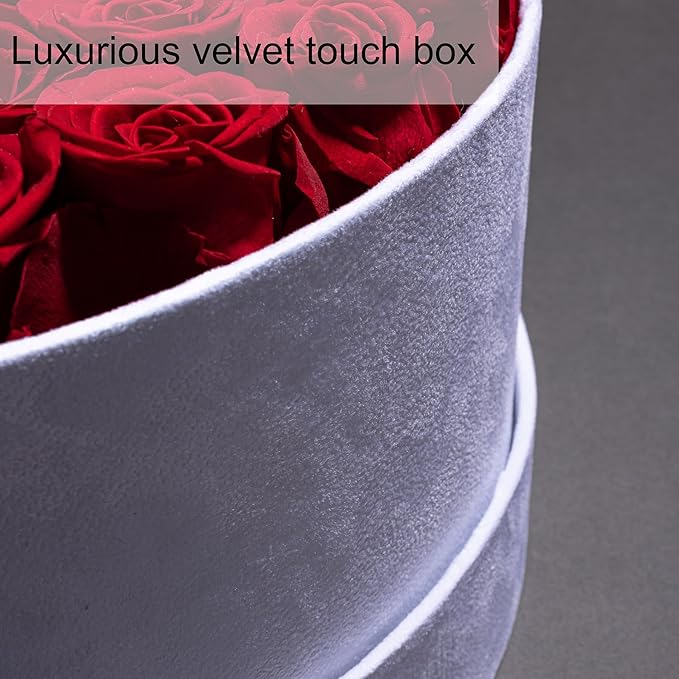 50 Piece Roses in a Velvet Box, Flowers for Delivery, Presereved Flowers Birthday Gifts for Women Mom and Wife (Light Purple)