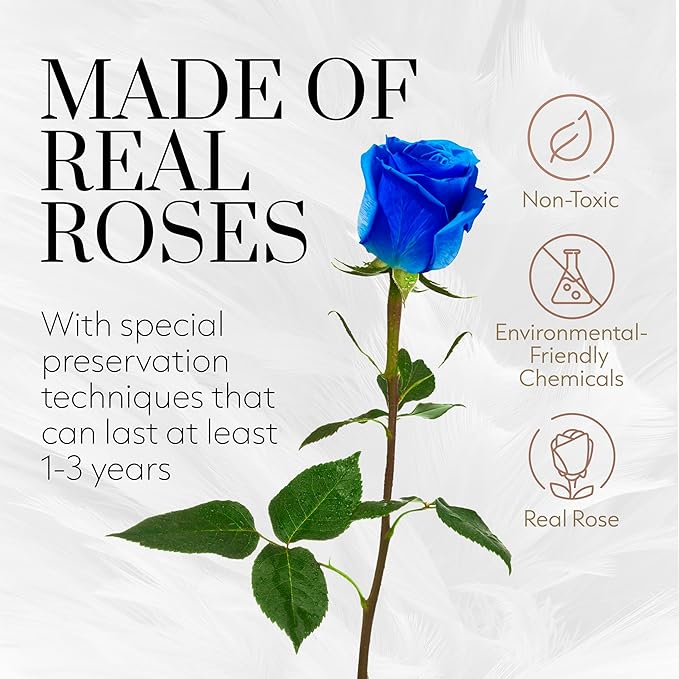 GLAMOUR BOUTIQUE Eternal Preserved Roses in a Box - Flowers Forever, Rose Forever in a Box for Wife, Birthday Gifts for Her, Single Rose, Blue
