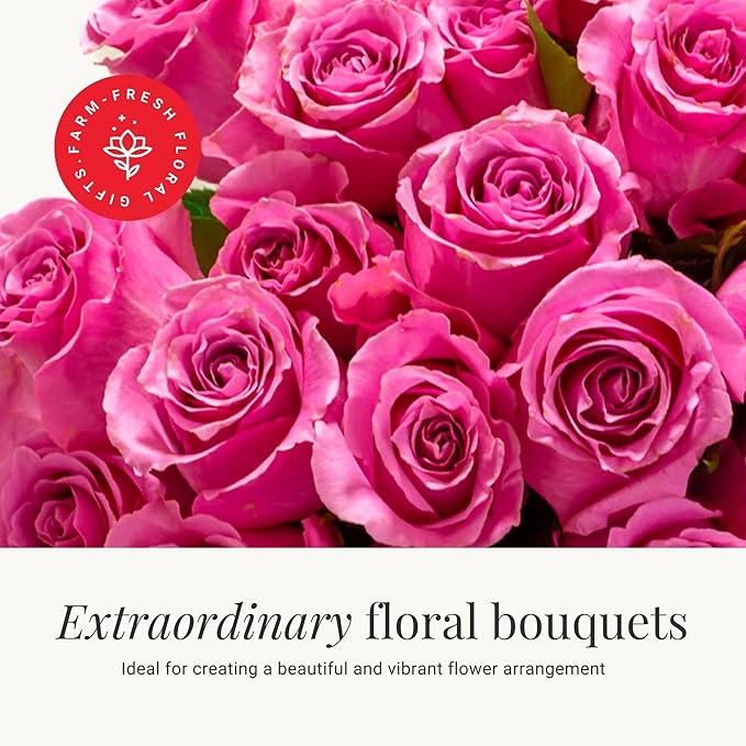BloomsyBox- Light Pink Roses -24 Long Stems, Long Lasting, Hand-Tied in Eco-friendly, Vase Not Included, Fresh Flowers for Delivery – Gift for Birthday, Anniversary,Congratulations, Wedding