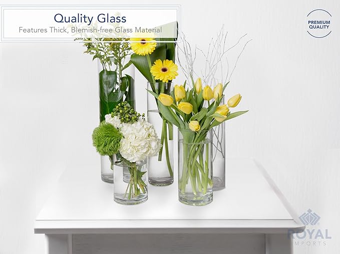Royal Imports Flower Glass Vase Decorative Centerpiece for Home or Wedding - Cylinder Shape, 16" Tall, 4" Opening, Clear