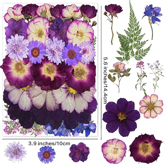 Large Purple Dried Pressed Flowers - Real Natural Big Flowers for Resin, Crafts, Nail Art, Candle, Soap, Phone Cases & DIY Jewelry