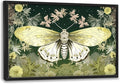 Moth Large Decor Wall Art Framed Pictures for Living Room, Butterfly Insect Oversized Canvas Print Painting Modern Extra Large Framed Artwork for Bedroom Office Home Decor 36"x24"