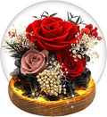 MOKOQI Birthday Gifts for Women Forever Flowers in Glass Dome, Fresh Flowers for Delivery Prime Forever Rose Gift for her Mom Wife Grandma on Christmas Birthday Anniversary