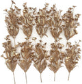 Artificial Golden Plants Decor, Fake Glitter Clover Stem Plastic Flowers Faux Simulation Good Luck Grass Stems Twigs for Wedding Picks Decoration DIY Wreath Crafts Christmas Tree Filler - Gold 10 Pcs