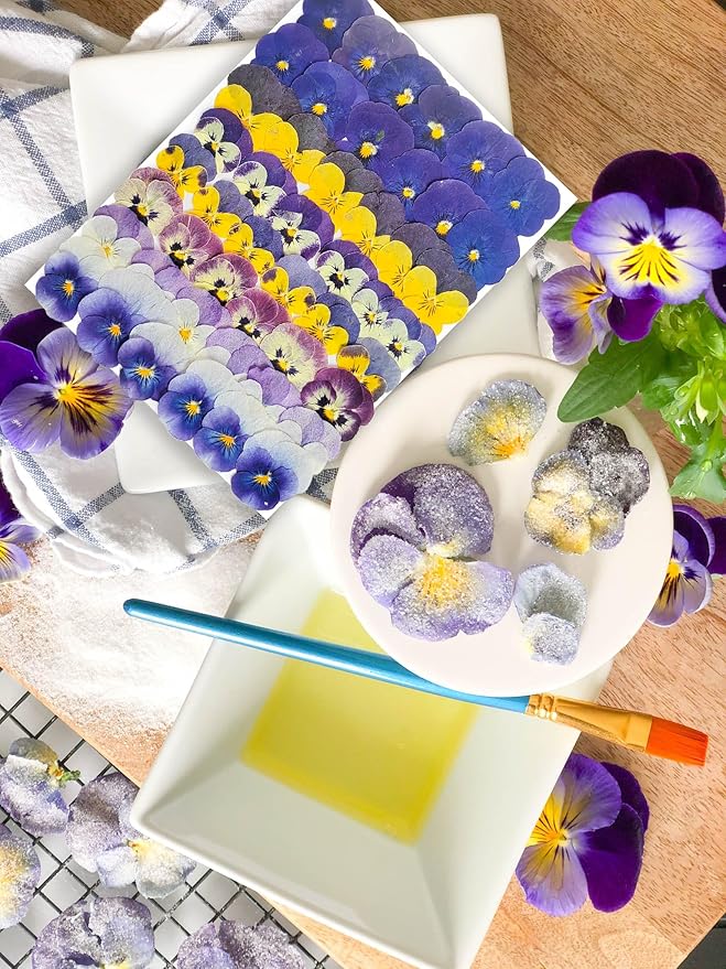 48 Pcs Real Natural Viola Pansy Dried Pressed Flowers - Delicate Multicolor Florals for Resin Jewelry, Candle Making, Frame Decor & DIY Crafts