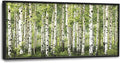 Extra Large Birch Tree Framed Wall Art for Living Room,Oversized Green Aspen Trees Forest Pictures Wall Decor,Canvas Print Painting Modern Artwork Bedroom Office Bathroom 60L x 30W