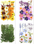 106 Pieces Assorted Real Dried Pressed Flowers Leaves Natural Dry Flower for Resin, Cake Decor,Crafts, Candles, Soap Making, Scrapbook Supplies(Pink,Purple,Yellow,Green)