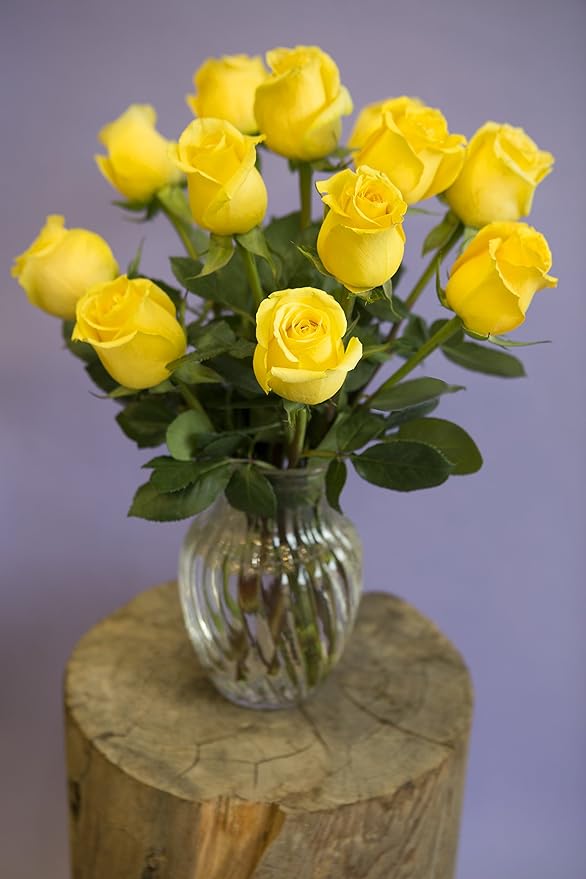Blooms2Door PRIME NEXT DAY DELIVERY - Fall Collection - Yellow Sunshine Bouquet of 12 Yellow Roses with Vase|.Gift for Birthday, Thank You, Valentine, Mother’s Day Fresh Flowers