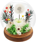 FIACO Gifts for Women Preserved Flower Forever Dandelion Rose in Glass Real Fresh Flowers for Delivery Prime Mothers Day Birthday Gifts for Mom Grandma Sister Wife Eternal Dandelion Flower Decor Green